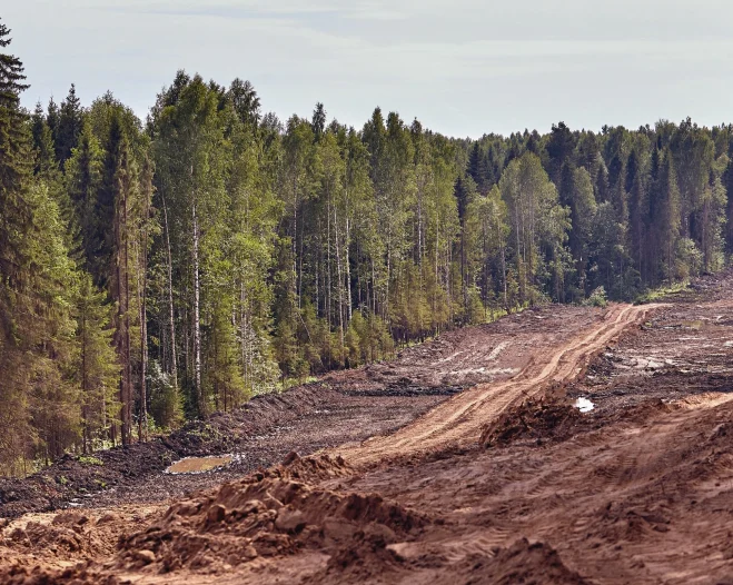 Homepage (Content Image 2)