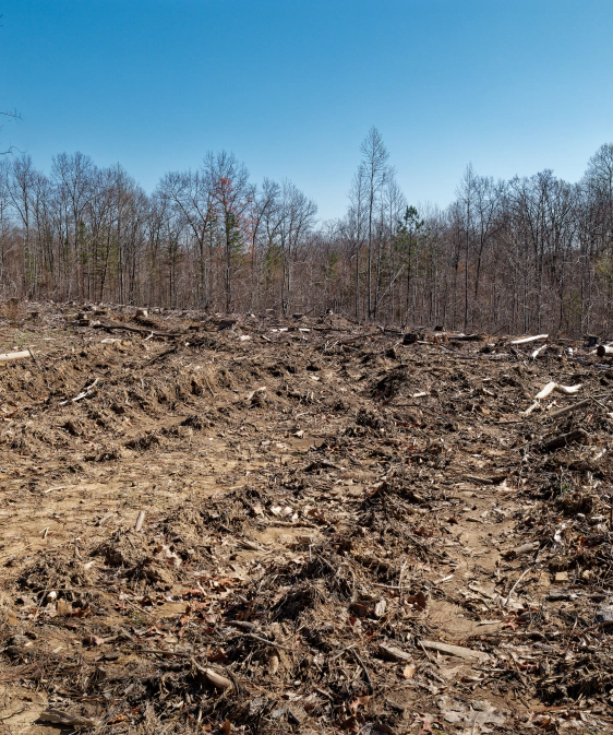 Land & Lot Clearing Slider